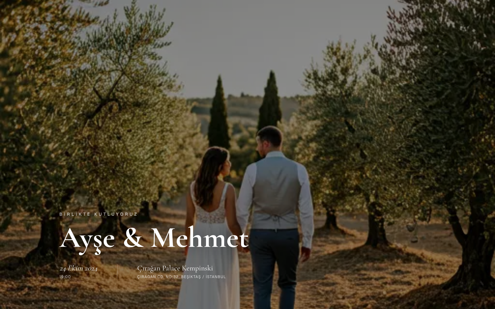 Tema 1 · Olive tema önizlemesi